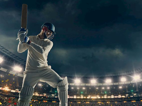 Cricket